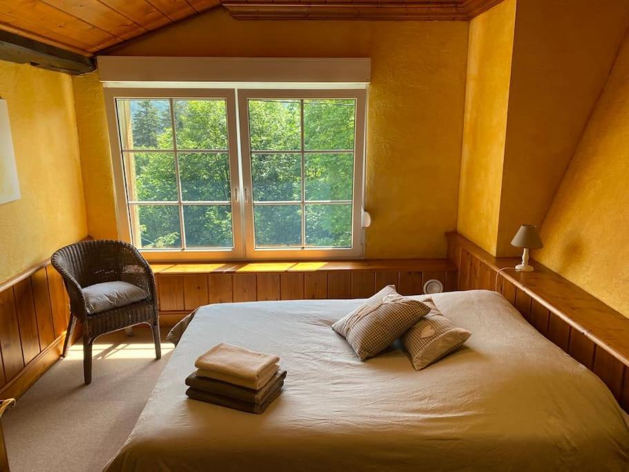Ferme De Chenezeau - 15 Personnes , 7 Chambres Жерарме Экстерьер фото